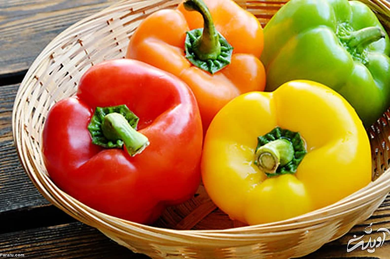 فلفل دلمه ای